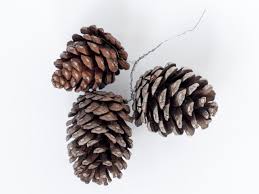Maybe you would like to learn more about one of these? Instructions For Making Pinecone Garland For The Holidays How Tos Diy