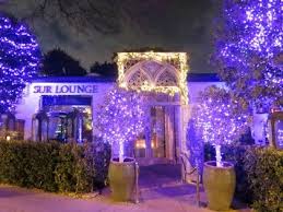 sur restaurant lounge guillermo nathalie zapata lisa vanderpump restaurant photos birthday surprise birthday cupcakes decoration restaurant photos