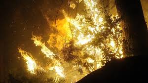 What makes the situation on evia so difficult is that the fire has different fronts. Wildfires Burn In Attica Region Evia Island In Greece