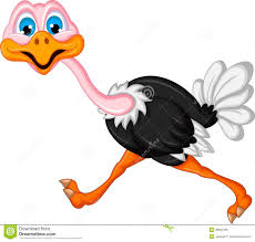 Ostrich Cartoon Running Illustration 39550165 Megapixl Ostrich animal in cartoon style. megapixl com