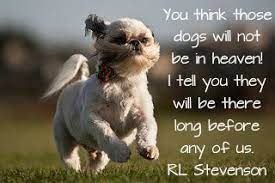 Pin On Sayings That I Like