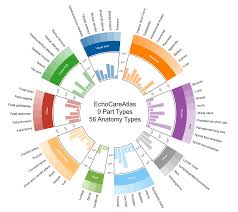 Centre for Artificial Intelligence and Robotics (CAIR) Hong ...