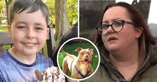 Mom recalls horror of 10-yr-old son's death who was mauled by  'out-of-control' XL Bully at friend's home