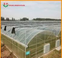 Multi-Span Film Greenhouse with Inside and Outside Shading System