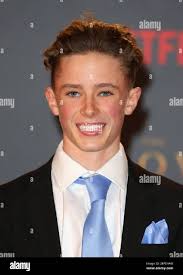 Finn elliot crown hi-res stock photography and images