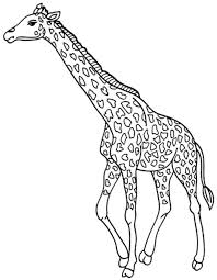 Find more cute giraffe coloring page pictures from our search. Cute Giraffe Coloring Pages Bestappsforkids Com