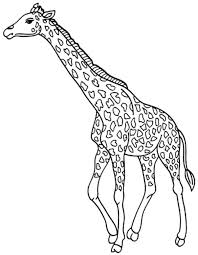 Coloring can help with fine motor skills. Print Download Giraffe Coloring Pages For Kids To Have Fun