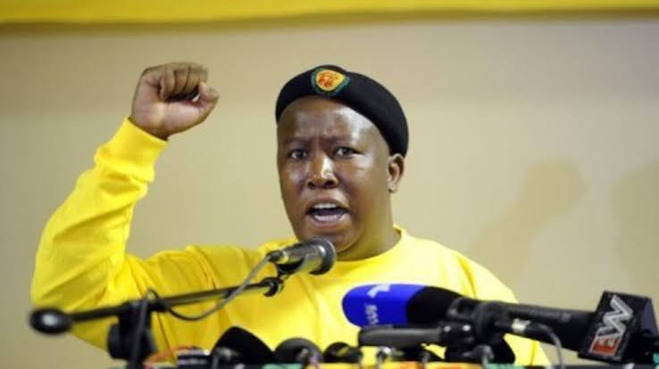 ANC party expels combative youth leader Malema - France 24