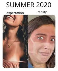 dopl3r.com - Memes - SUMMER 2020 expectation reality