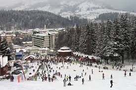 Despre Vatra Dornei Romania Prezentare Imagini Informatii Turistice Si Detalii Despre Statiunea Vatra Dornei