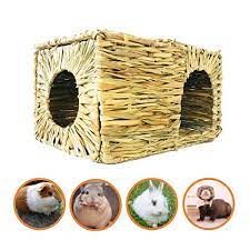 We did not find results for: 2 Pack Hand Crafted Large Grass House Edible Safe And Comfortable Natural Grass Hideaway And Playhouse For Rabbits And Guinea Pigs Foldable Grass Bunny Hut With Openings And Free Twine Pricepulse