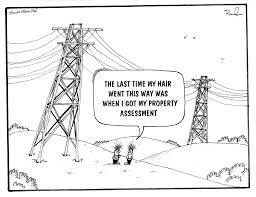 Bullock farmer rooting for pigs