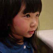 Daphne Tan (@daphnetanyl) • Instagram photos and videos