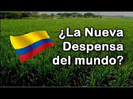Resultado de imagen para Agro Colombiano En El Mundo,