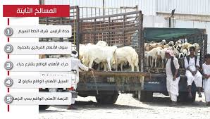 أمانة جدة 6 مواقع مخصصة لبيع المواشي و5 مسالخ لاستقبال الأضاحي المدينة