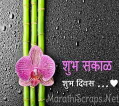 432 537236 443013702418402 2073906893 N Jpg 960 853 Bamboo Wallpaper Orchid Flower Moth Orchid