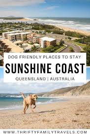 The Best Sunshine Coast Accommodation Pet Friendly Kid Friendly Thrifty Family Travels In 2020 Oceania Travel Australia Travel New Zealand Travel