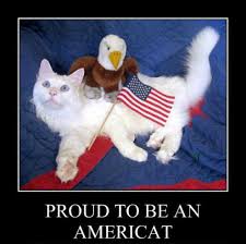 Pin On Usa Fourth Of July Independence Day