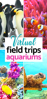 Pin On Educational Travel Virtual Field Trips