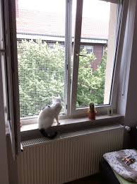 Katzen Fensterschutz Katzengitter Fenstersicherung Katzenregale Katzen