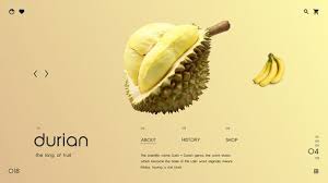 Baner unik durian kocok : 28 Durian Ideas Durian Durian Logo Durian Design