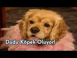 Perihan Dudu Yu Kopege Ceviriyor Sihirli Annem Youtube