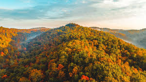 Kentucky forest at risk: Daniel Boone National Forest
