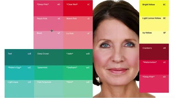 Bright, Cool and Medium Color Fan