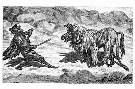 Who bought that book for him? The Ass In The Lion S Skin Fables Of Aesop