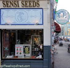 Unfortunately, amsterdam seed center does not run many discount promotions or have a loyalty program like many other seed banks do. Sensi Seeds Corner Shop Amsterdam Coffeeshop Directory