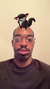 Which Madagascar Character Are You