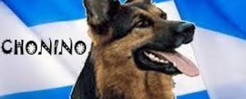 Check spelling or type a new query. Comunas Un Desafio Radio Dia Nacional Del Perro