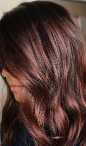 Pin By Suzanne Fife On Hair Colour In 2020 Fall Hair Color For Brunettes Hair Color Auburn Brunette Hair Color
