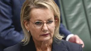 NSW Minister says sorry to mum