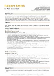 plant accountant resume samples