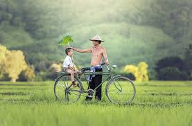 El día del padre celebra la unión entre padres e hijos. Dia Del Padre Por Que Celebrarlo
