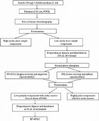 flowchart for the procedure of sample preparation for the