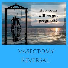 Some Couples Conceive Within A Month Or Two Of Surgery Most Take A Bit Longer For A Bilateral Vasovasostomy Vasectomy Reversal Vasectomy Male Infertility