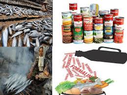 Kami membantu mereka beralih dari pengeluaran makanan manual ke automatik, merancang susun atur kilang makanan. Pengawetan Makanan Pengertian Tujuan Caranya Secara Biologi Fisika Kimia