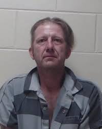 Florida culprit evading arrest in tree nabbed by K9 who sniffed out his  nefarious scent