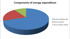 Solved Create A Pie Chart Showing The Relative Proportion