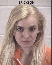 We've secured drug and weapons charges against two Aurora men and a Geneva  woman after responding to a call for suspected drug activity between the  occupants of two vehicles near a Far