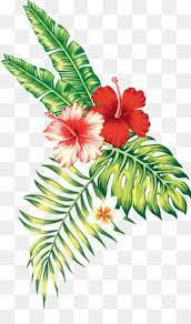 Tropical Png Tropical Flower Tropical Leaves Tropical Flowers Tropical Leaf Tropical Fruit Tropical Fish Plant Drawing Tropical Flowers Digital Flowers