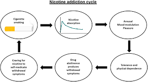 Current Advances In Research In Treatment And Recovery Nicotine Addiction Science Advances