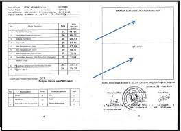 Bahkan saya mulai menerapkannya tidak hanya di catatan raport tapi sebisa mungkin di setiap penilaian soal. Contoh Narasi Raport Tk Semester 2 Berbagai Contoh