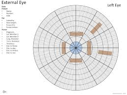 Drawing Templates Oculonco An Ocular Oncology Guide For