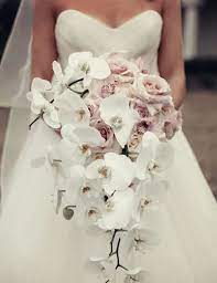 Free shipping on orders over $25 shipped by amazon. 20 Orchid Wedding Bouquets Ideas Wedding Bouquets Orchid Wedding Wedding