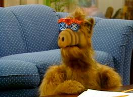 You can use this swimming information to make your own swimming trivia questions. How Well Do You Know Alf