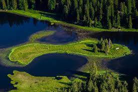 Museumsbahnhof lunz am see is a bahnhof, schmalspurbahn, railway museum (en) located in lunz am see. Drei Seen Tour Lunz Wanderung Outdooractive Com