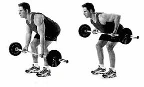 Med roing med stang trener du fremfor alt øvre del av ryggen og biceps, men også underarmene. Oktober 2015 Side 2 Cornelis Elander